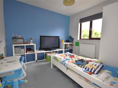 Picture 15